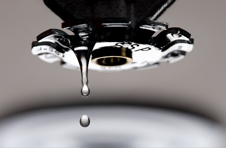 --sprinkler