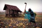 -- farmer